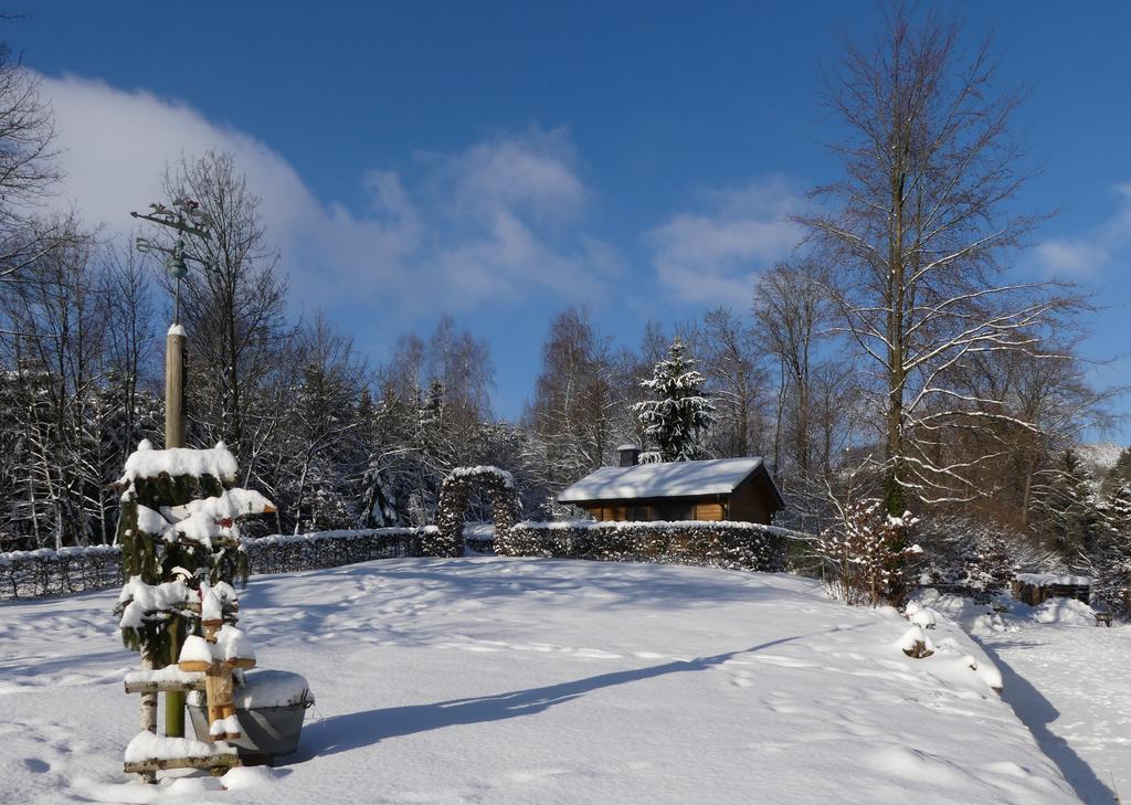 Pension Haus Am Walde Schmallenberg Exterior photo